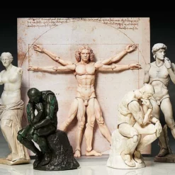 The Table Museum Figma SP-075 Vitruvian Man -Bandai Sales 7fbb523c c204 414b bf78 aa233bcce3a8