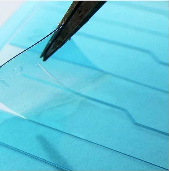 PLG1-Pattern 1 PLG1-Pattern