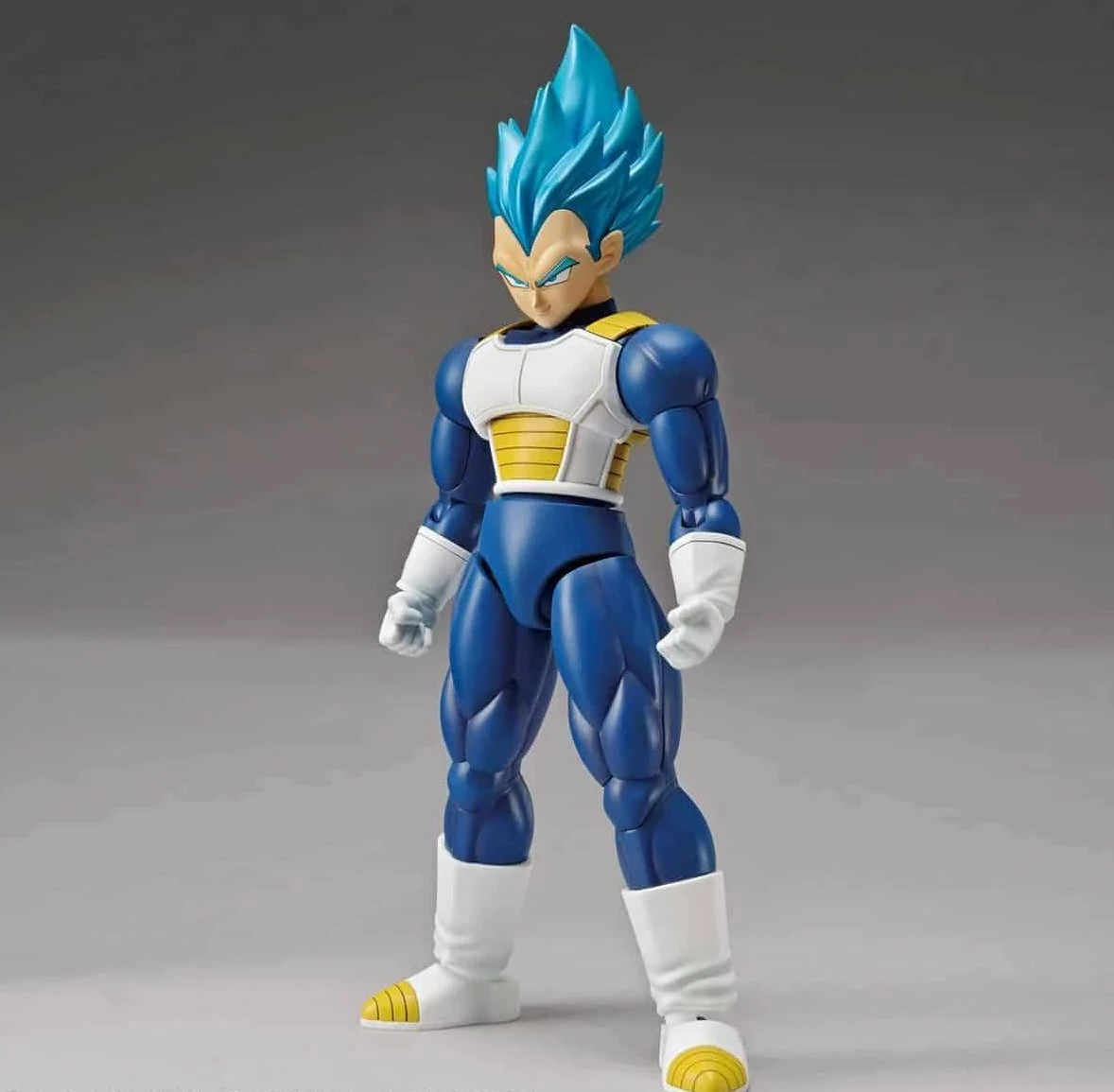 Bandai Figure-rise Standard Super Saiyan God Super Saiyan Vegeta (Special Color) 1 Bandai Figure-rise Standard Super Saiyan God Super Saiyan Vegeta (Special Color)